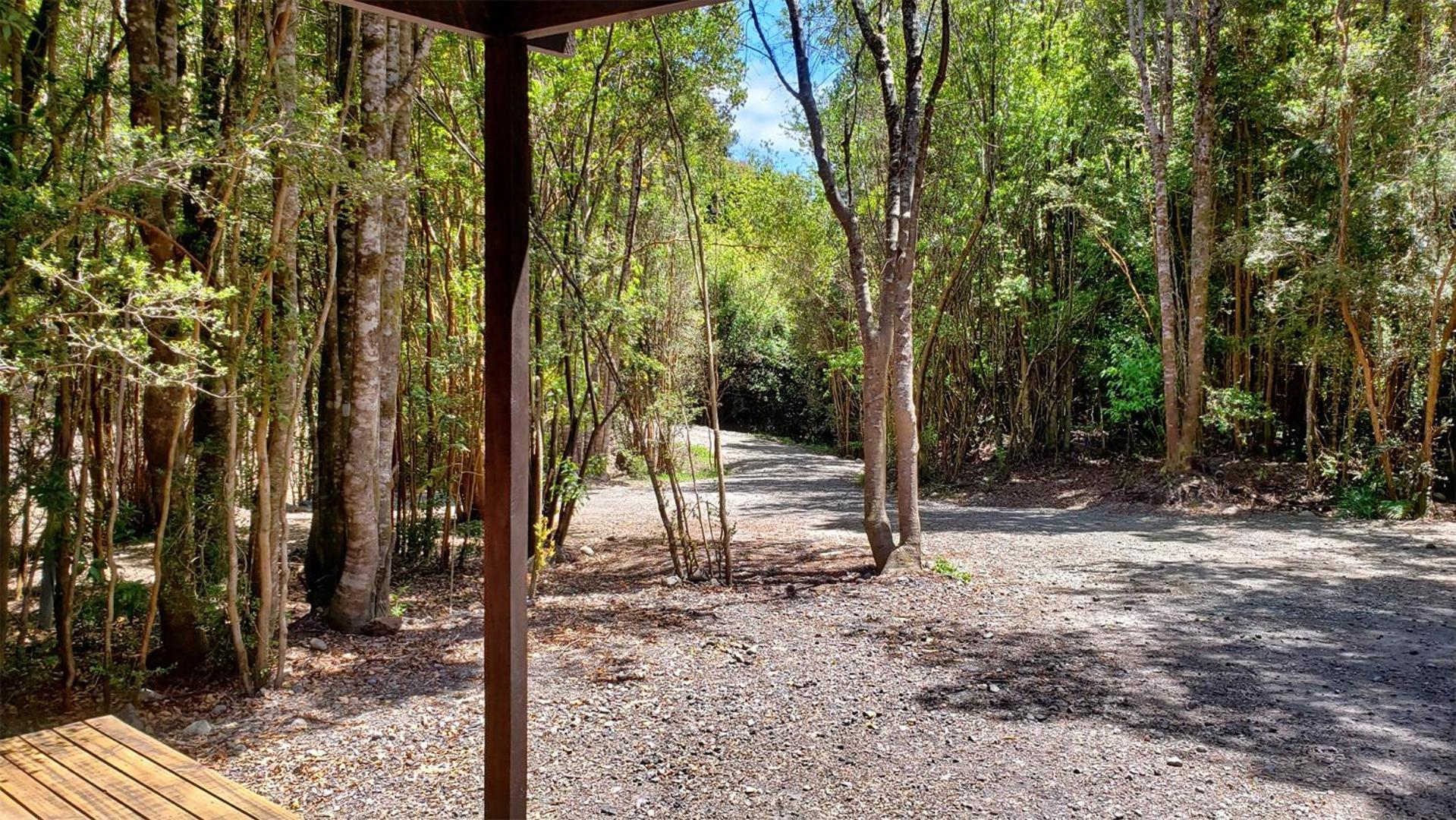 Entre Rios Y Bosque * Puerto Varas